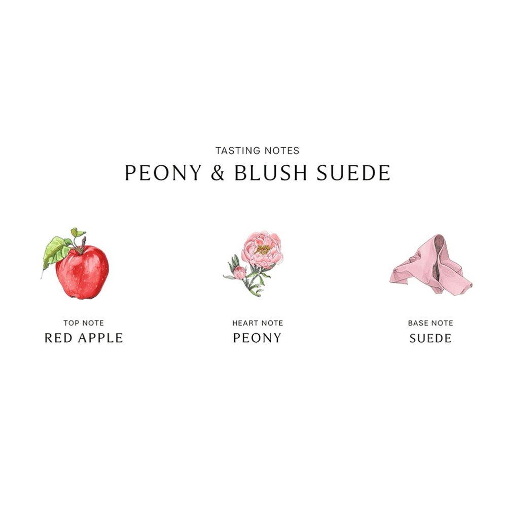 Jo Malone Peony & Blush Suede Diffuser - Picture 6 of 7